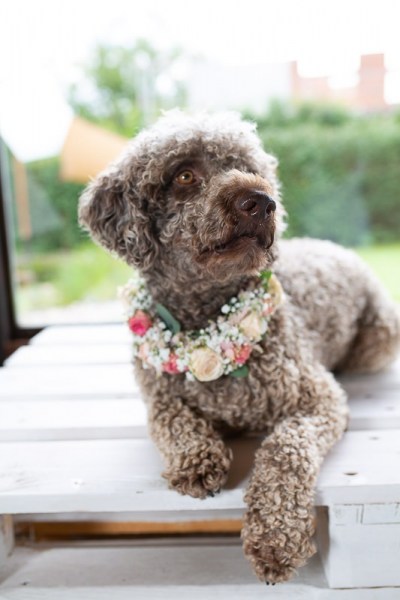 Hochzeit_Aarau_Altstadt_Solenthaler_Photography_23